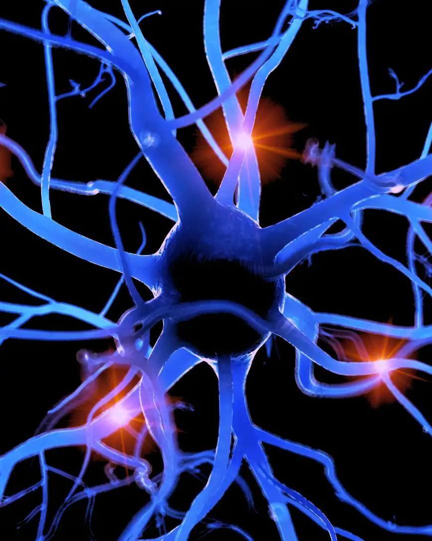Un réseau neuronal 
